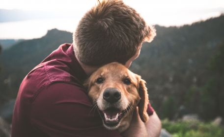 Can I Vape Around my Pet How To Keep Your four Legged Friend Safe