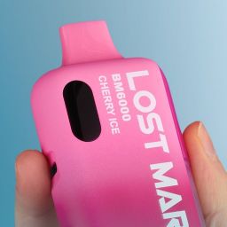 Lost Mary BM6000