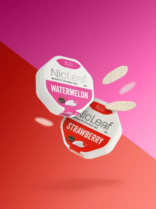 A pack of Watermelon and a pack of Strawberry NicLeaf pouches floating on a stylised pink and red background